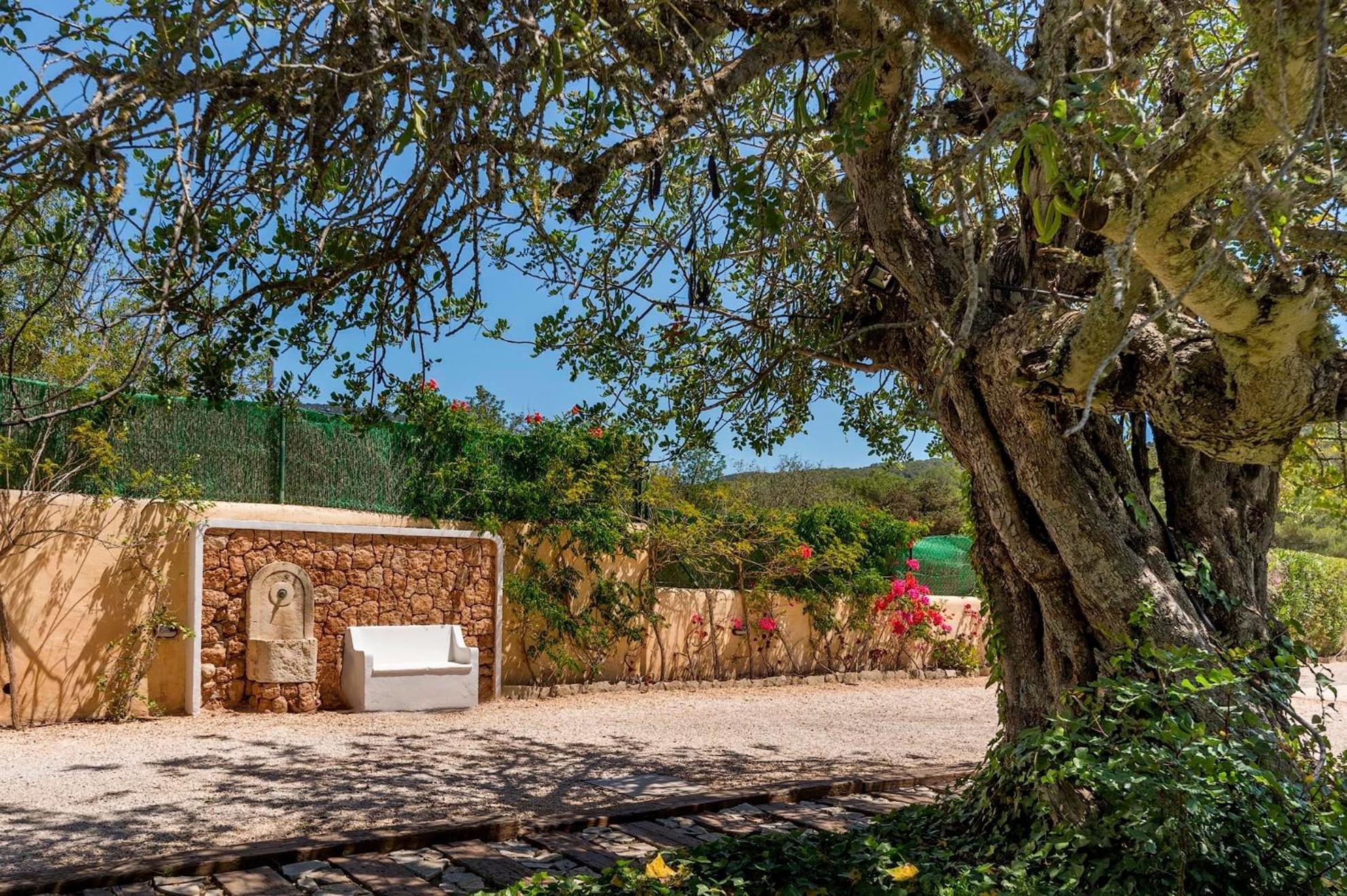 Can Botanic San José Εξωτερικό φωτογραφία